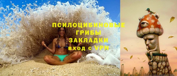 дурь Арсеньев