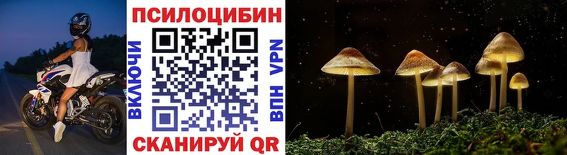 Галлюциногенные грибы GOLDEN TEACHER  Сунжа 